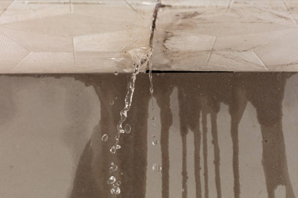 Professional Burst Pipe Cleanup technician working in Mascot, TN